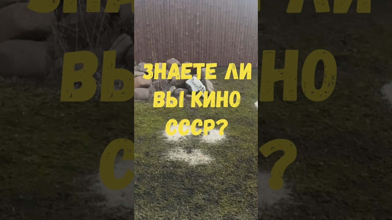 Киновикторина 🎞️📽️🎑 