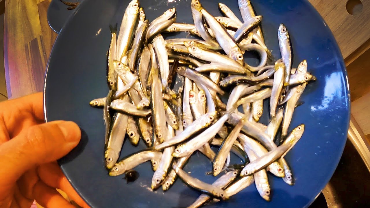 Whitebait and shrimps - catch and cook - coastal foraging
