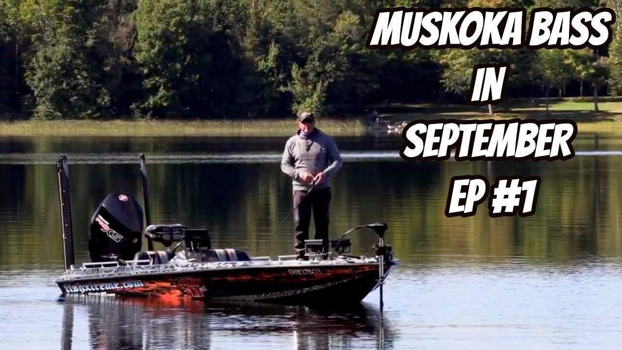 MUSKOKA BASS IN SEPTEMBER- Episode #1