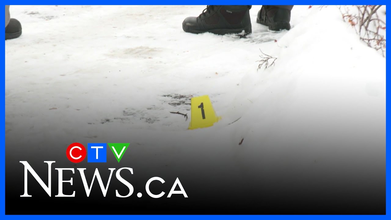 Calgary homicide rate drops to decade low in 2025