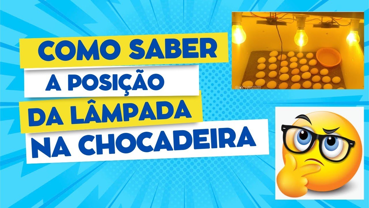 Como posicionar a lâmpada de aquecimento na chocadeira