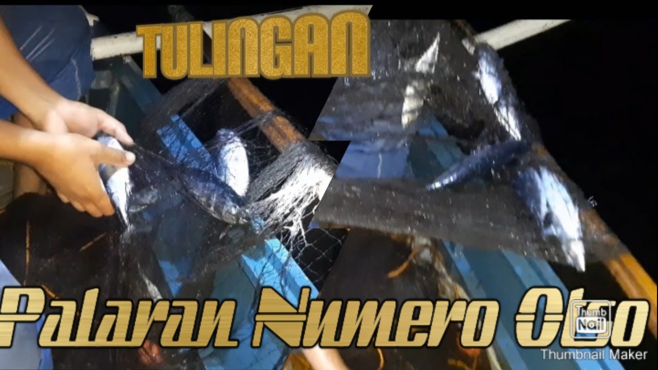 NAKATULINGAN ang Silong sa Palaran Numero Otso/Pamo Netfishing