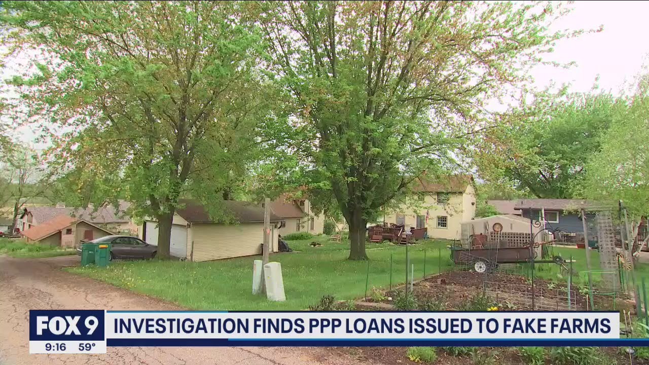 Federal government paid out thousands in PPP loan to fake orange grove in Minnesota | FOX 9 KMSP
