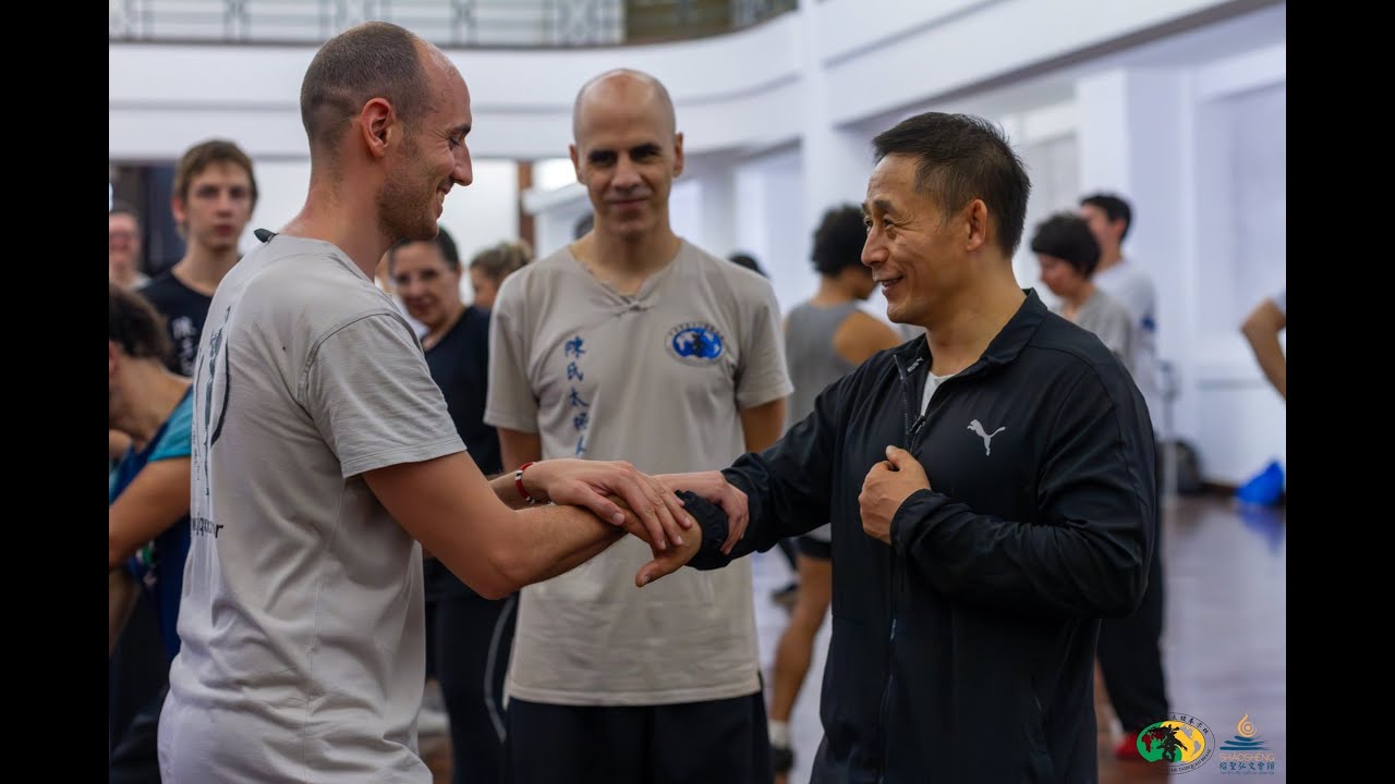 5º Seminário de Taijiquan - Tuīshǒu 推手  com Mestre Chen Ziqiang 陈自强