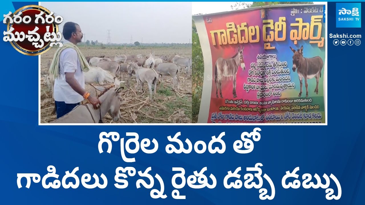 Eluru Farmer Donkey Farm, Earning Huge Returns | Donkey Milk | Garam Garam Varthalu | @SakshiTV