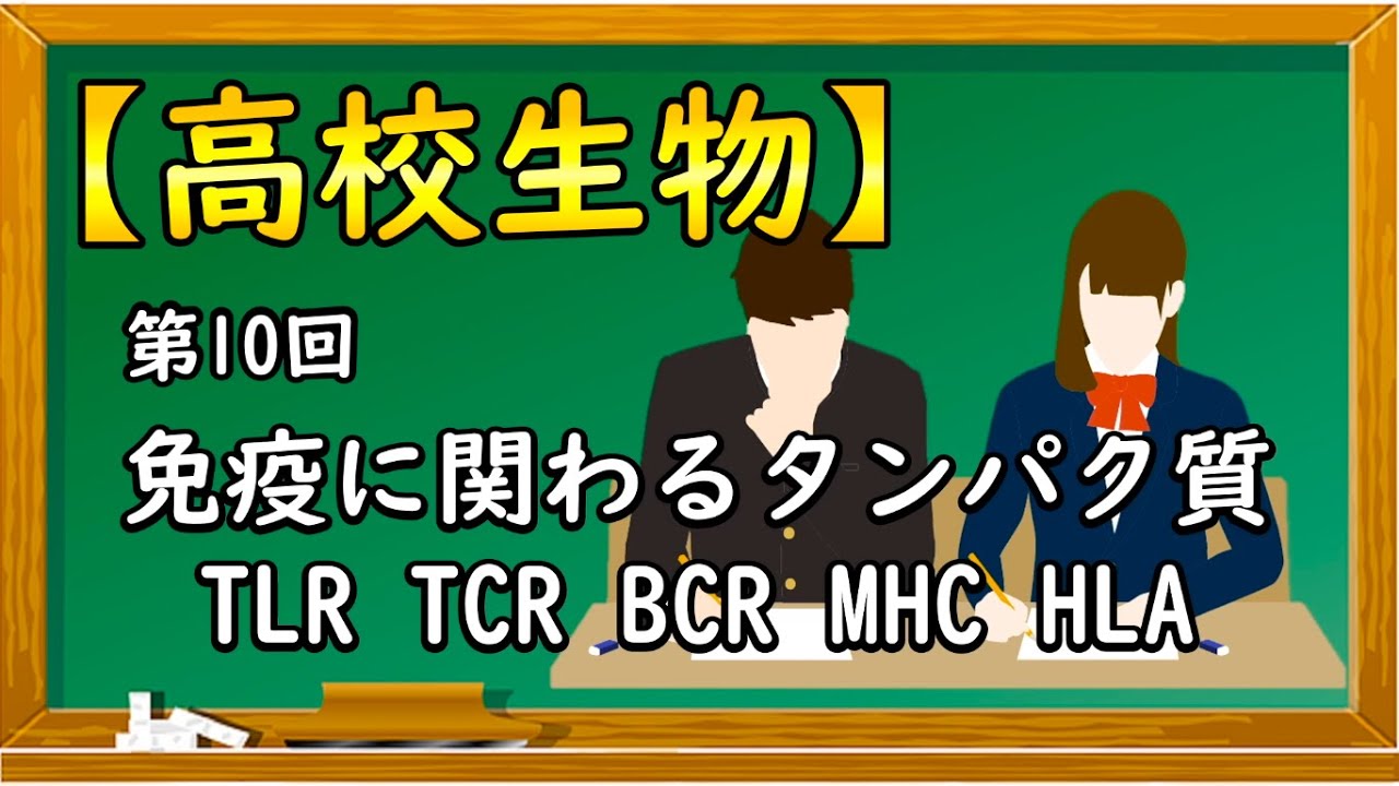 高校生物【第10回 免疫に関わるタンパク質〜TLR・TCR・BCR・MHC・HLA〜】オンラインで高校授業
