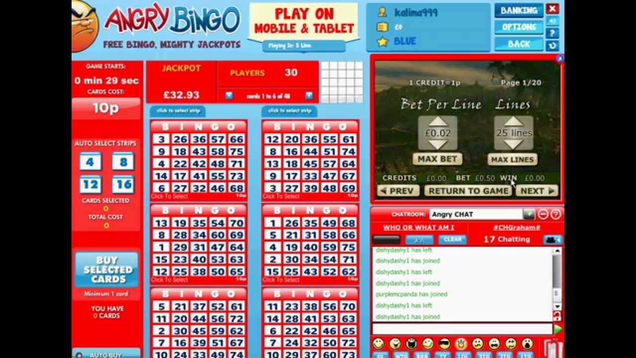 Angry Bingo Video - 500% bingo bonus and free bingo rooms