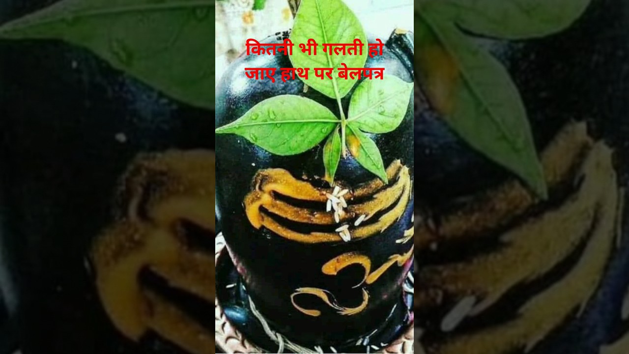 जितनी भी बड़ी गलती हो जाए शिव जी माफ कर देंगे || करें या उपाय🙏#pradeepmishra #mahadev #shiv