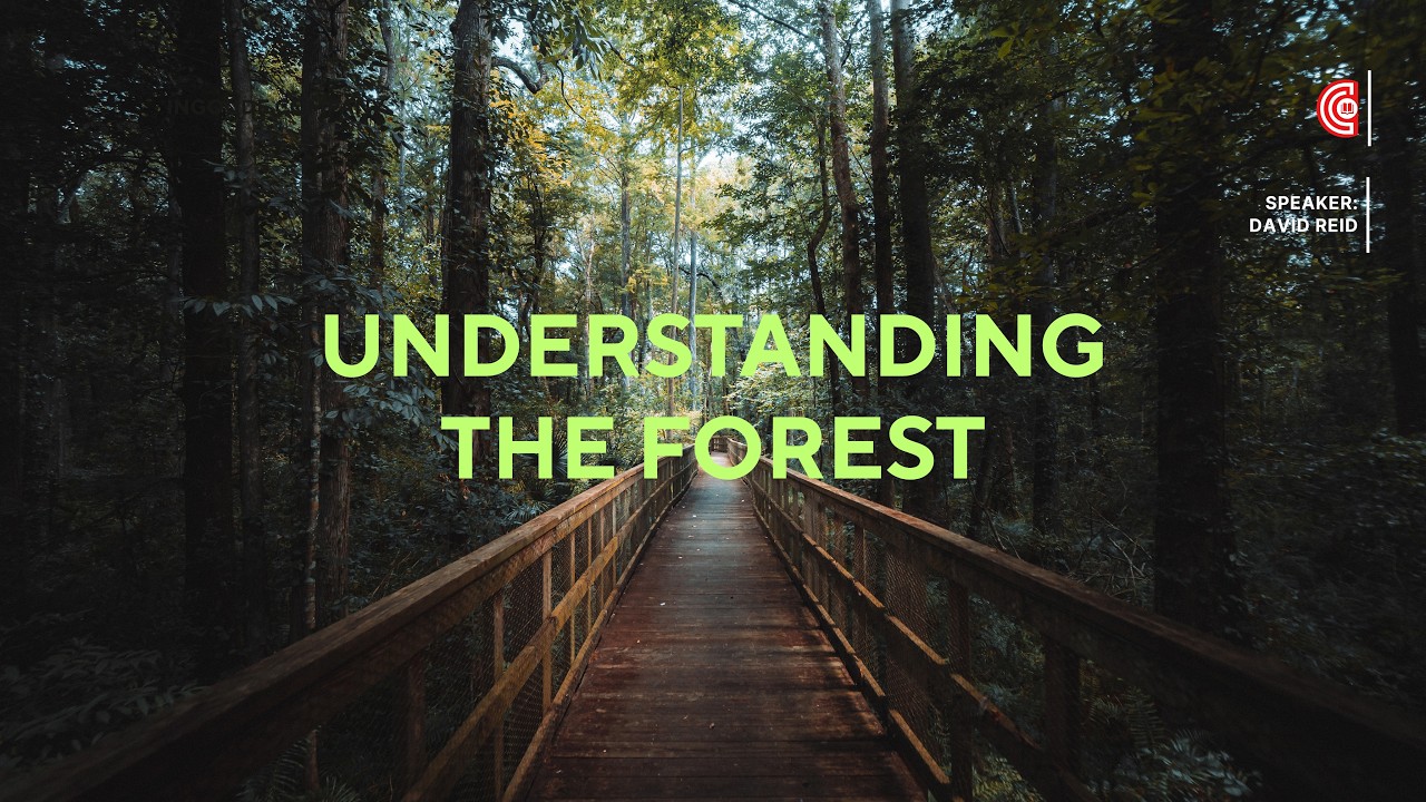 Understanding the Forest