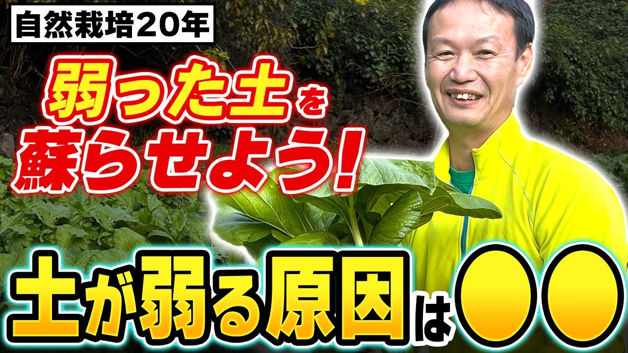【自然栽培407】土を蘇らせるよ！🌈