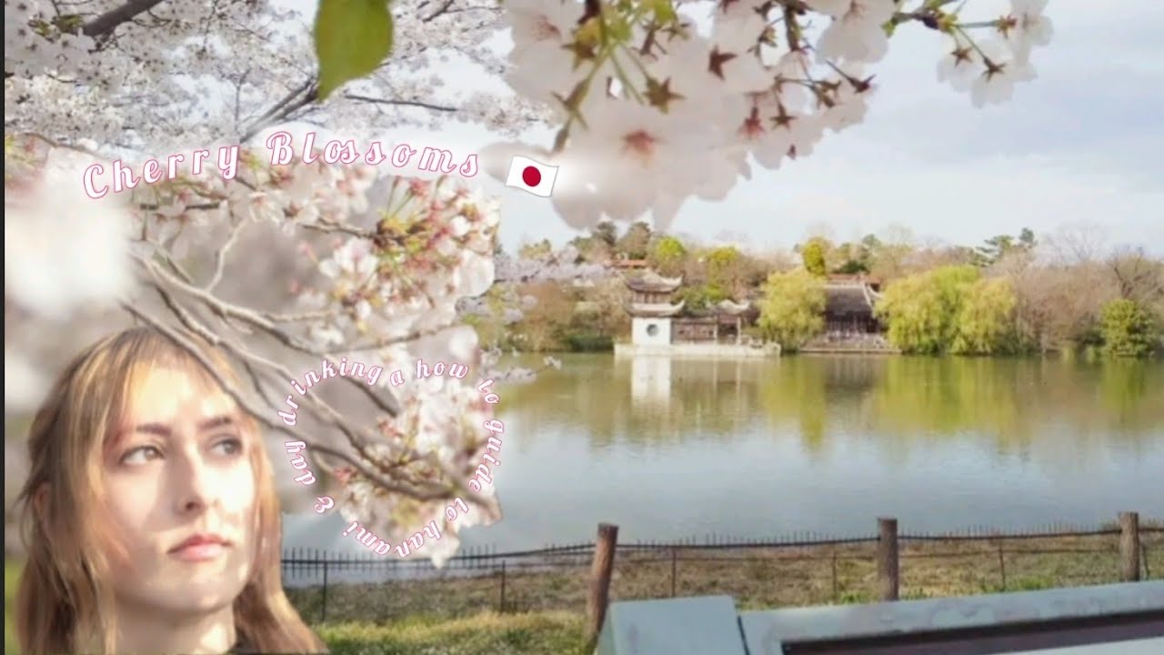 The Best How to Hanami Guide | 🌸 Cherishing the Cherry Blossom & Day Drinking 🇯🇵