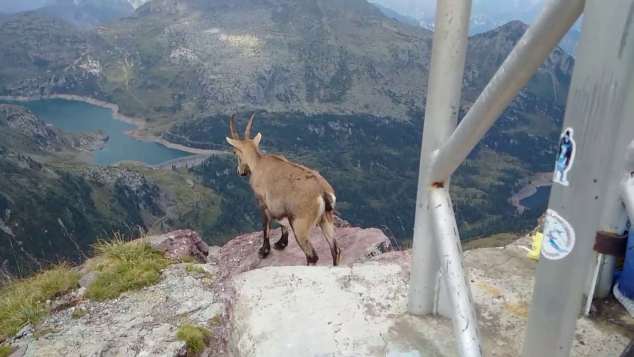 2017 - Pizzo del Becco