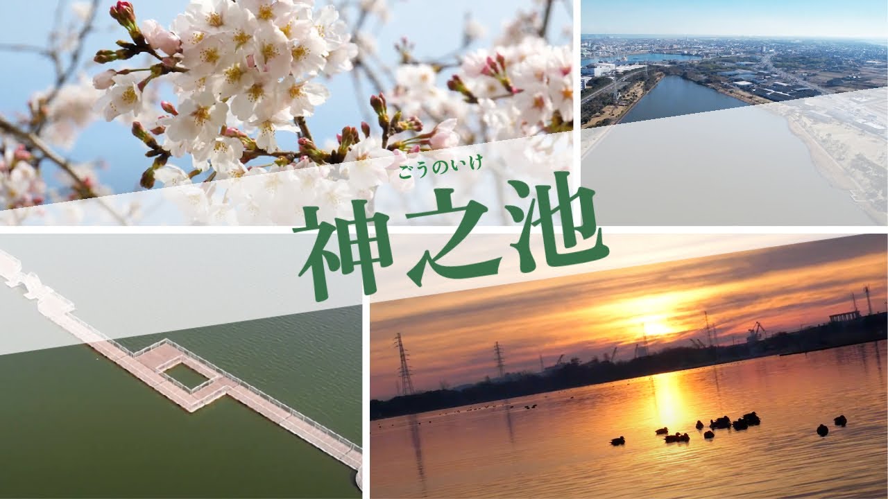 自然豊かな神之池