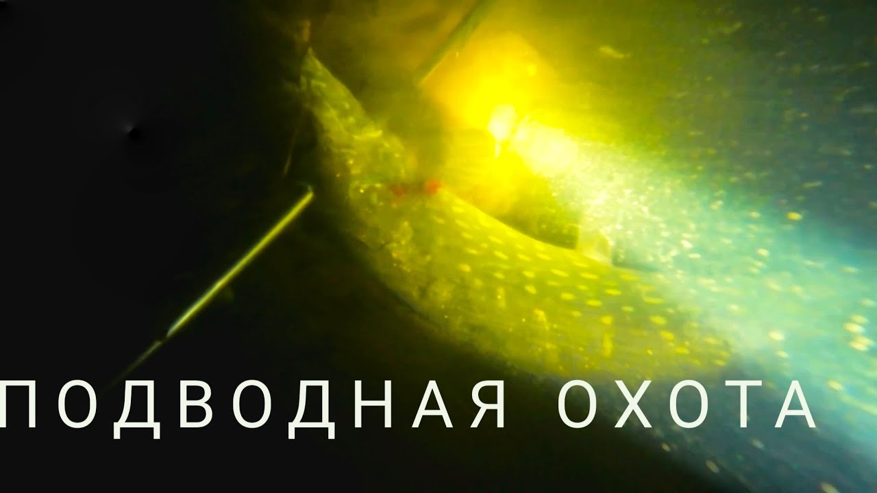 Ночная подводная охота