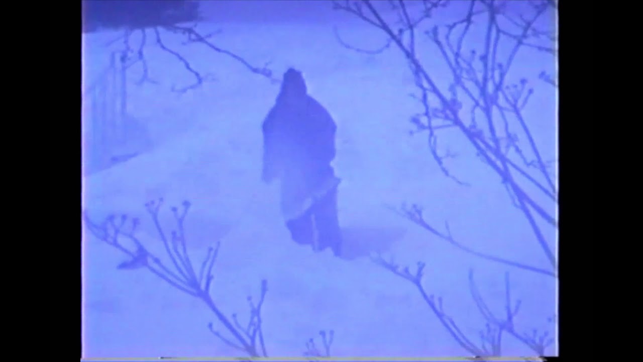 Blizzard of 1996 in Philadelphia