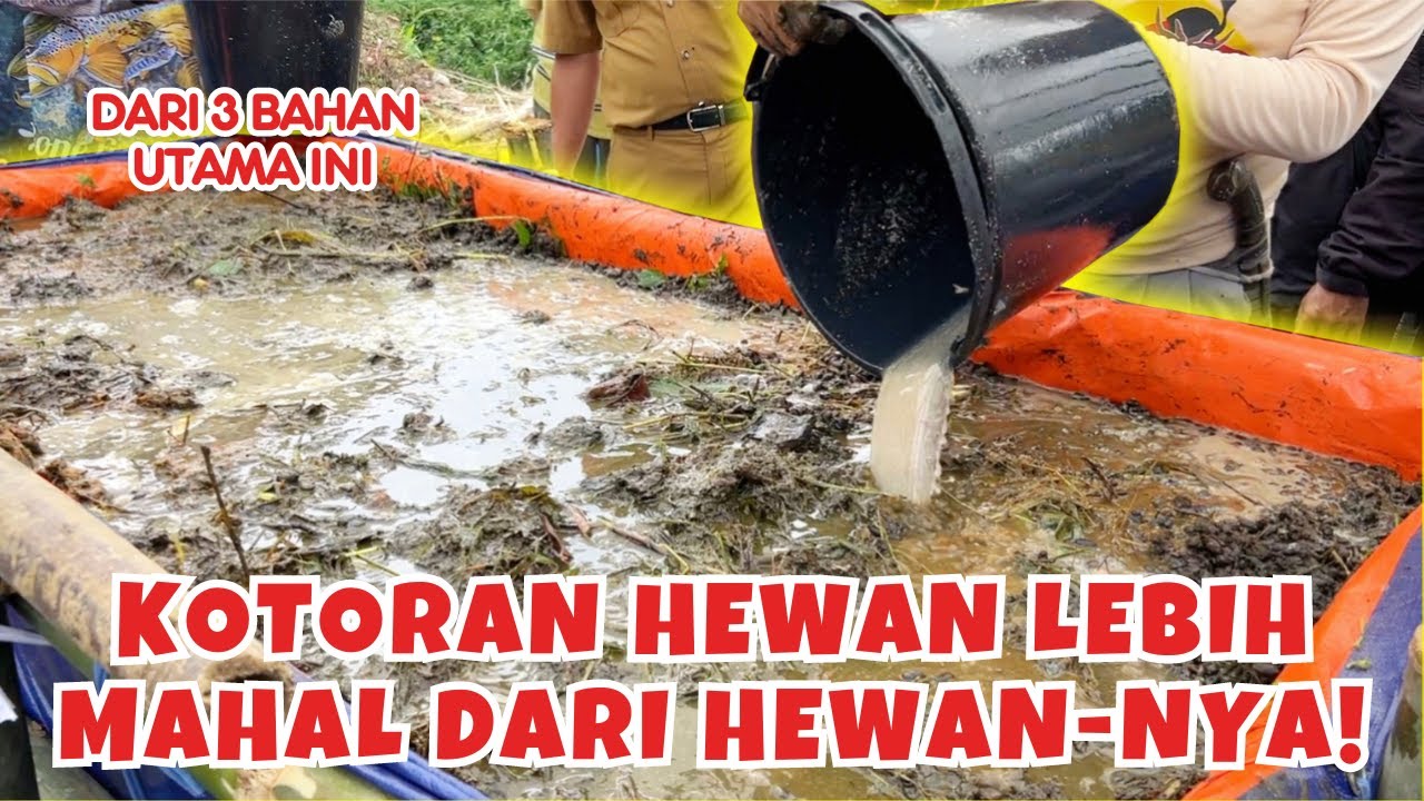 Proses Pembuatan Pupuk NPK di Desa Cupunagara Subang