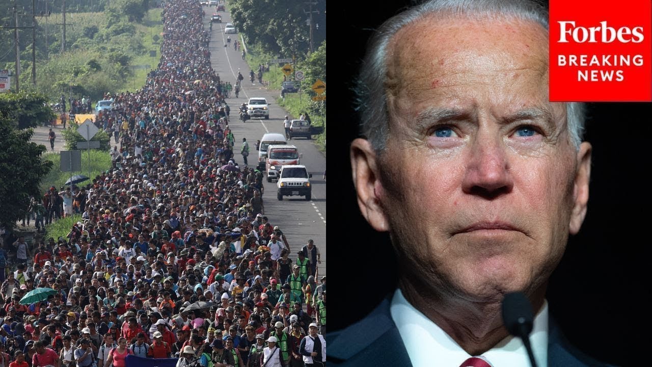 WATCH LIVE: Senate Holds 'Biden’s Border Betrayal: Criminal Aliens in America' Hearing