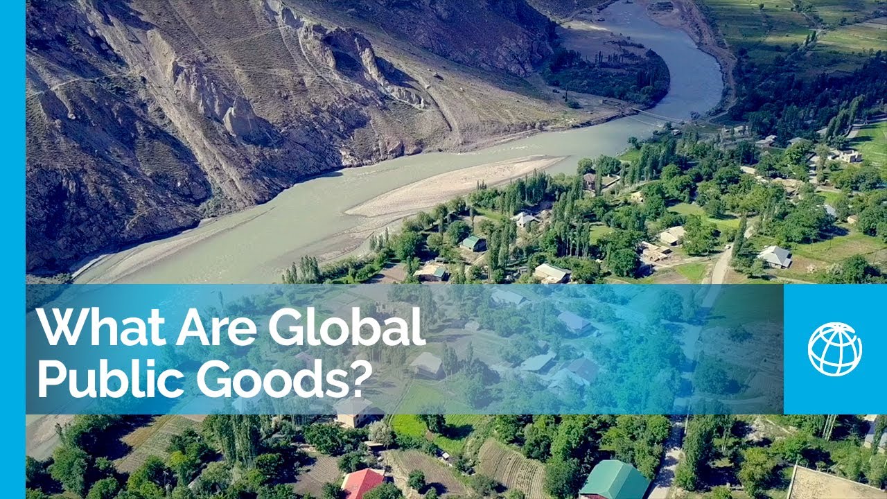 Tackling Cross-Border Global Challenges: What Are Global Public Goods?