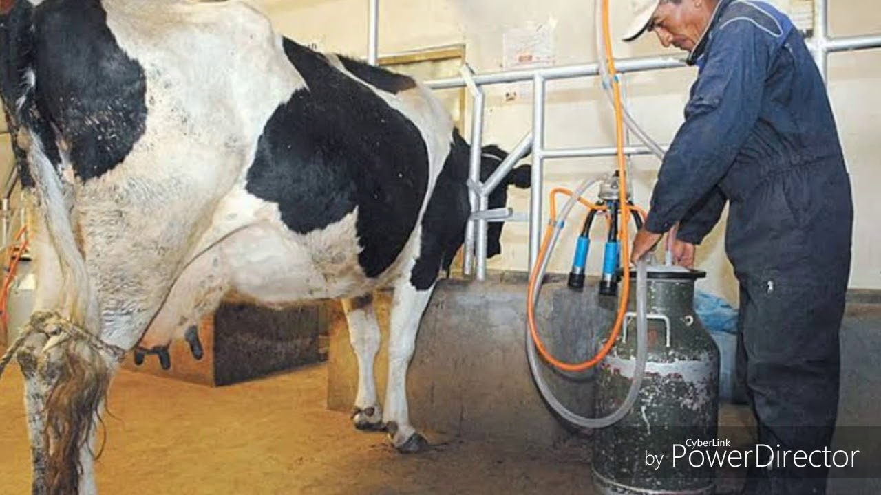 Ingeniería Agronómica y zootecnia