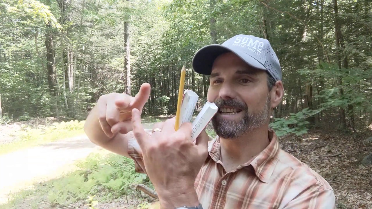 Red Eyed Vireo - Learn a Bird - Episode #18