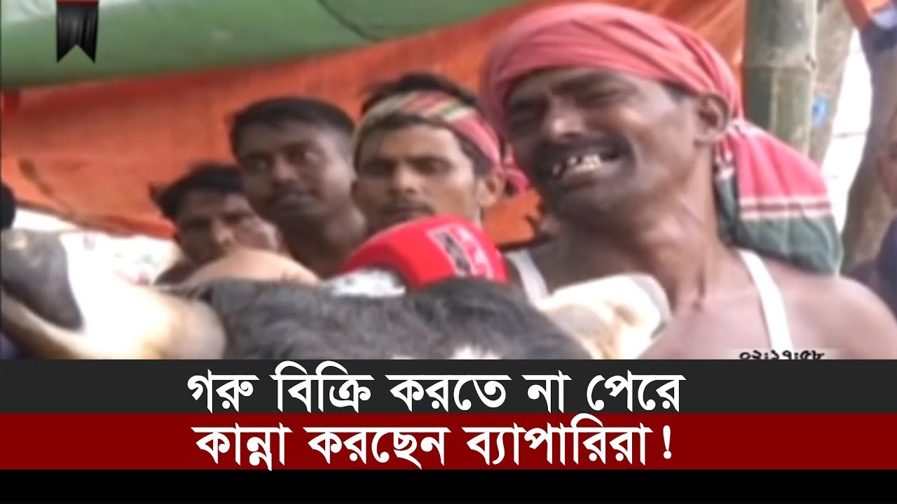 গরু বিক্রি করতে না পেরে কান্না করছেন ব্যাপারিরা! | Cow Hat | Somoy TV