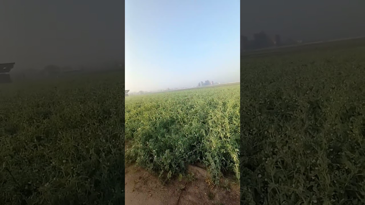 ما تحزنيش ربنا مستني يسمعك/مع نورا 
