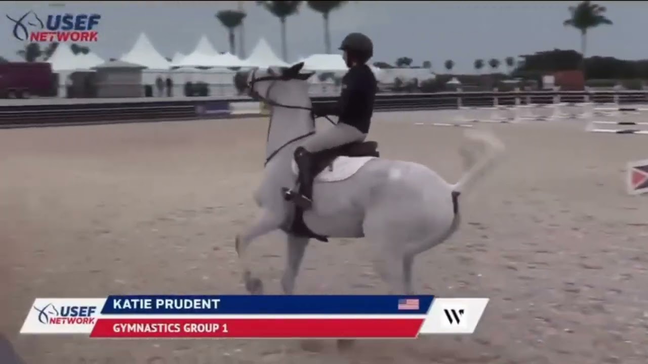 WTF IS The United States Equestrian Federation Doing With Young Riders?
