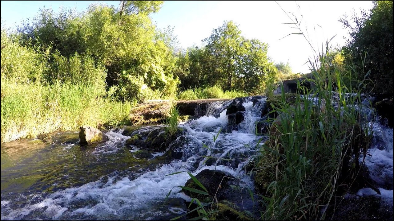 Немножко природы Брянска(пробное видео)