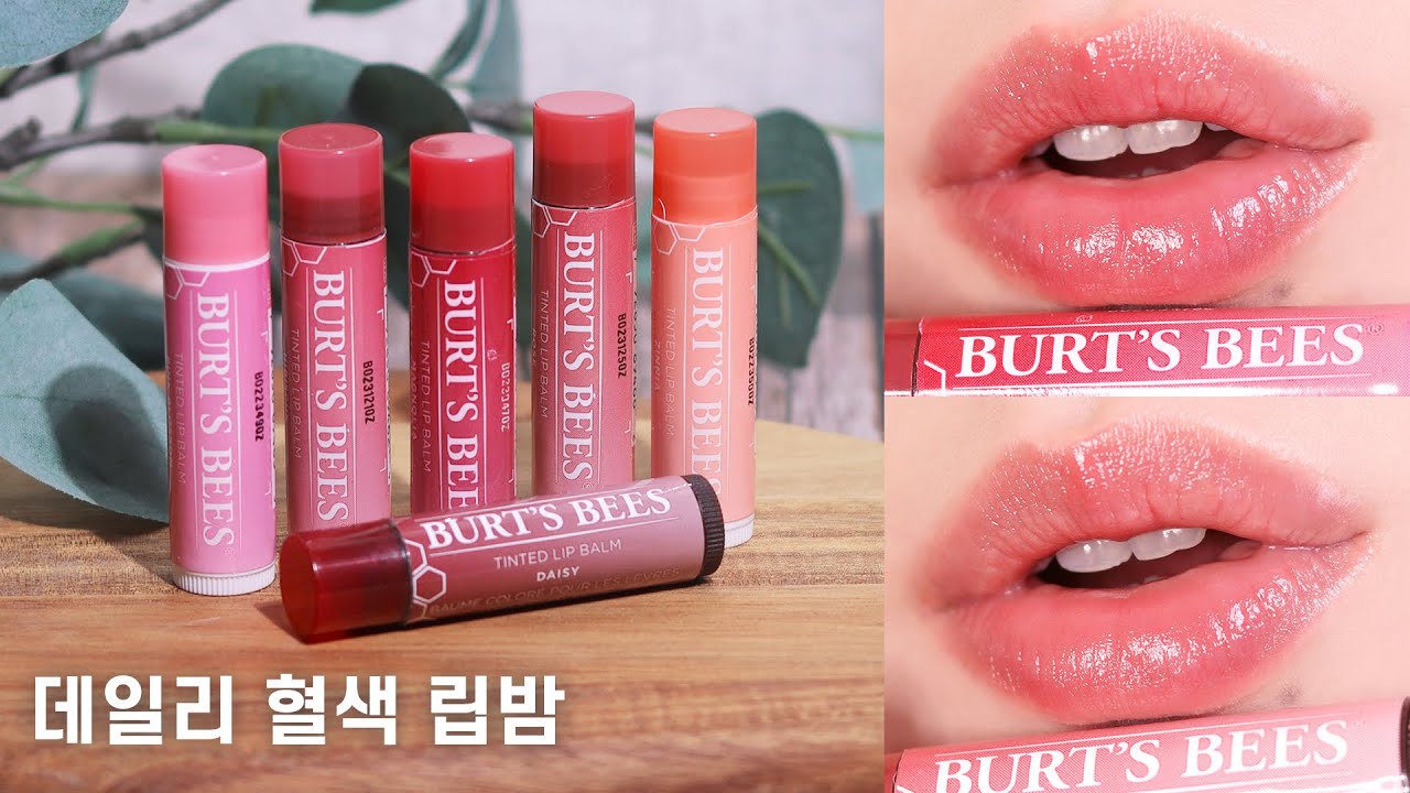 민낯에도 메이크업에도 잘어울리는 컬러립밤 추천 | 버츠비 틴티드 립밤 전색상 발색 | 클레어