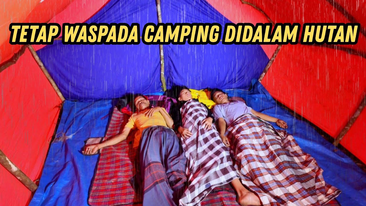 Horror!! diguyur hujan deras tetap waspada camping didalam hutan, relaxing rain sound
