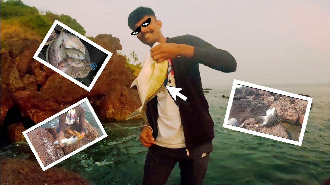 UNIQUE WAY OF FISHING 🎣 AND CAUGHT (YELLOW TAIL MULLETS) ( GT. TREVALLY ) AND SOME OTHER FISH...!