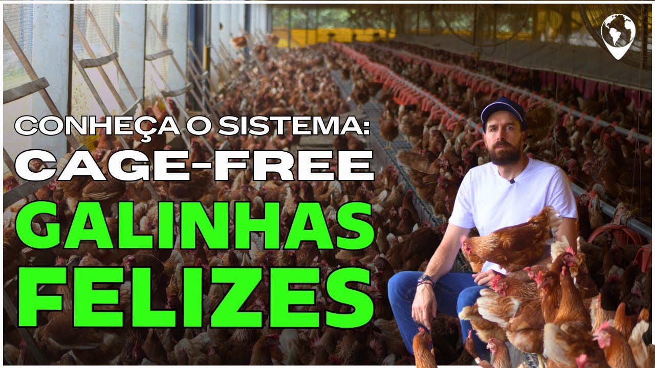 25 Mil GALINHAS FELIZES: Granja Killer revoluciona criação Cage-Free e Caipira | Adriano Killer
