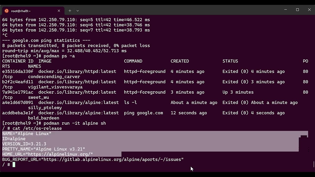 Podman Basics: How to Run and Manage Containers Locally
