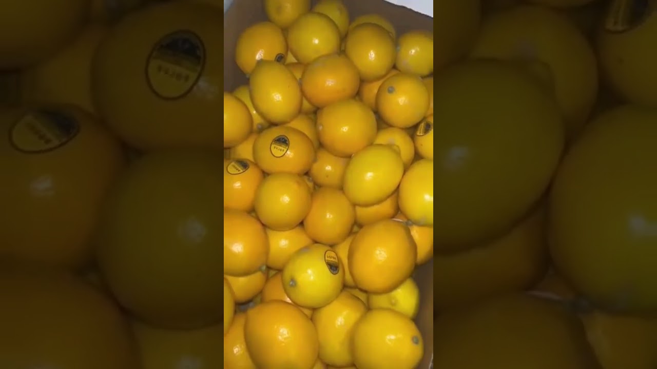 Spice up your fruit sets with Organic Specialty Citrus from Buck Brand out of Porterville, CA