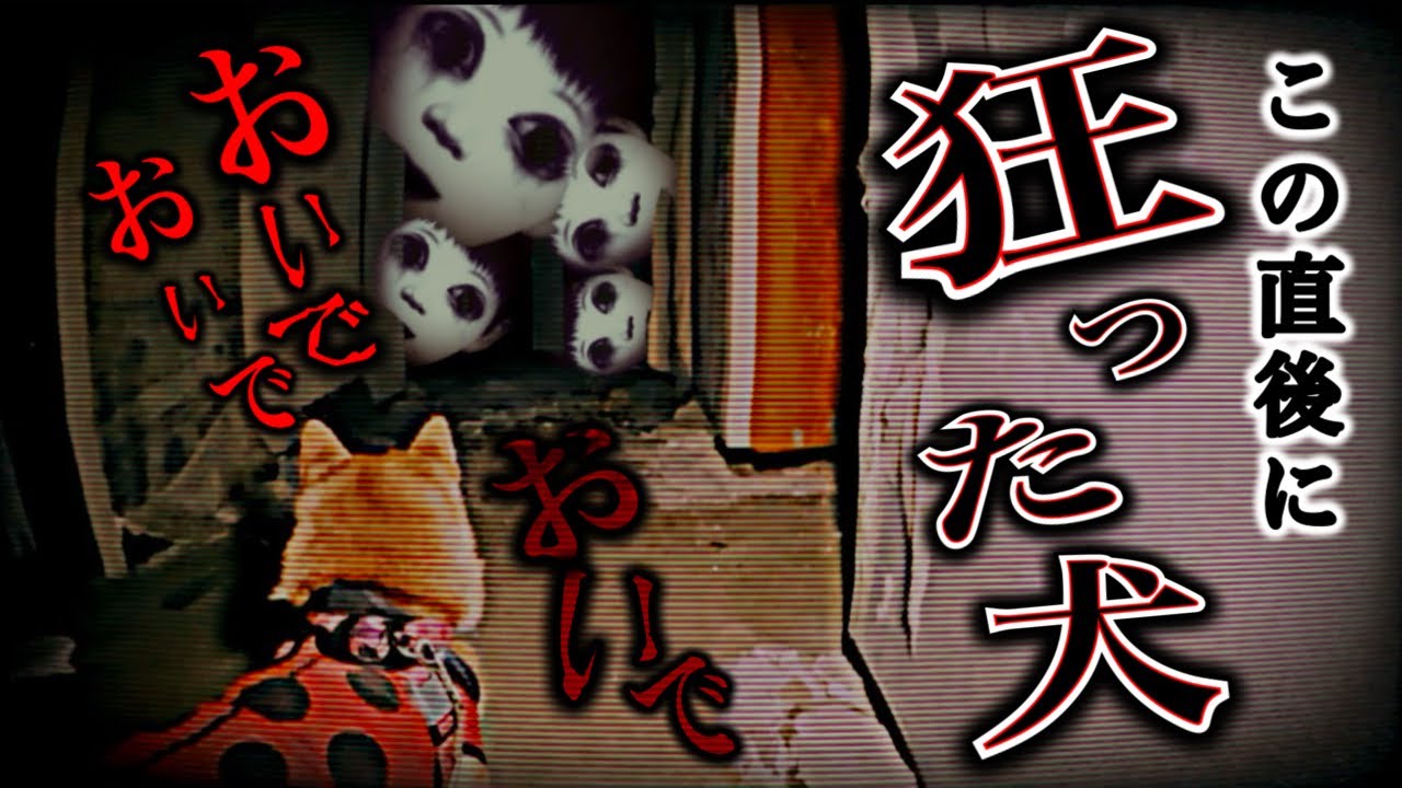 【制御不能】巨大な廃墟で愛犬が霊に呼ばれてる？