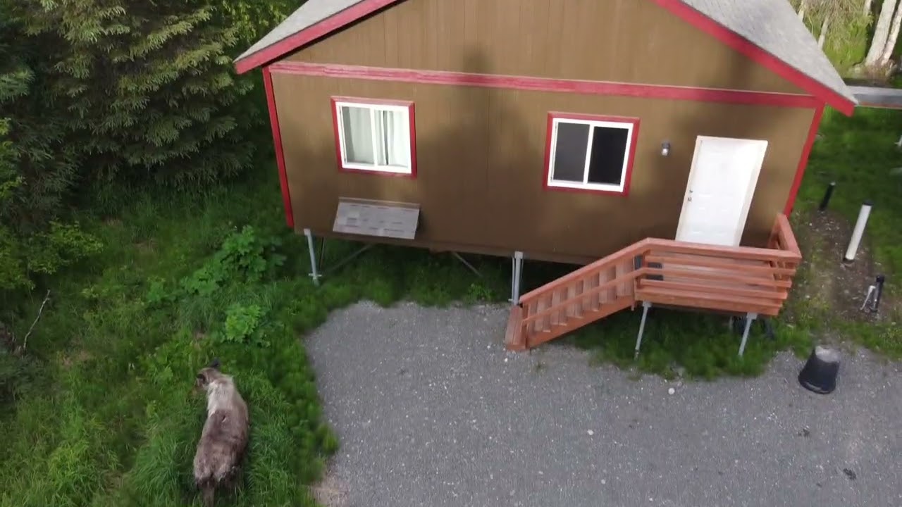 Soldotna, Alaska/Kenai River Lodging (Cabin Walkthrough)