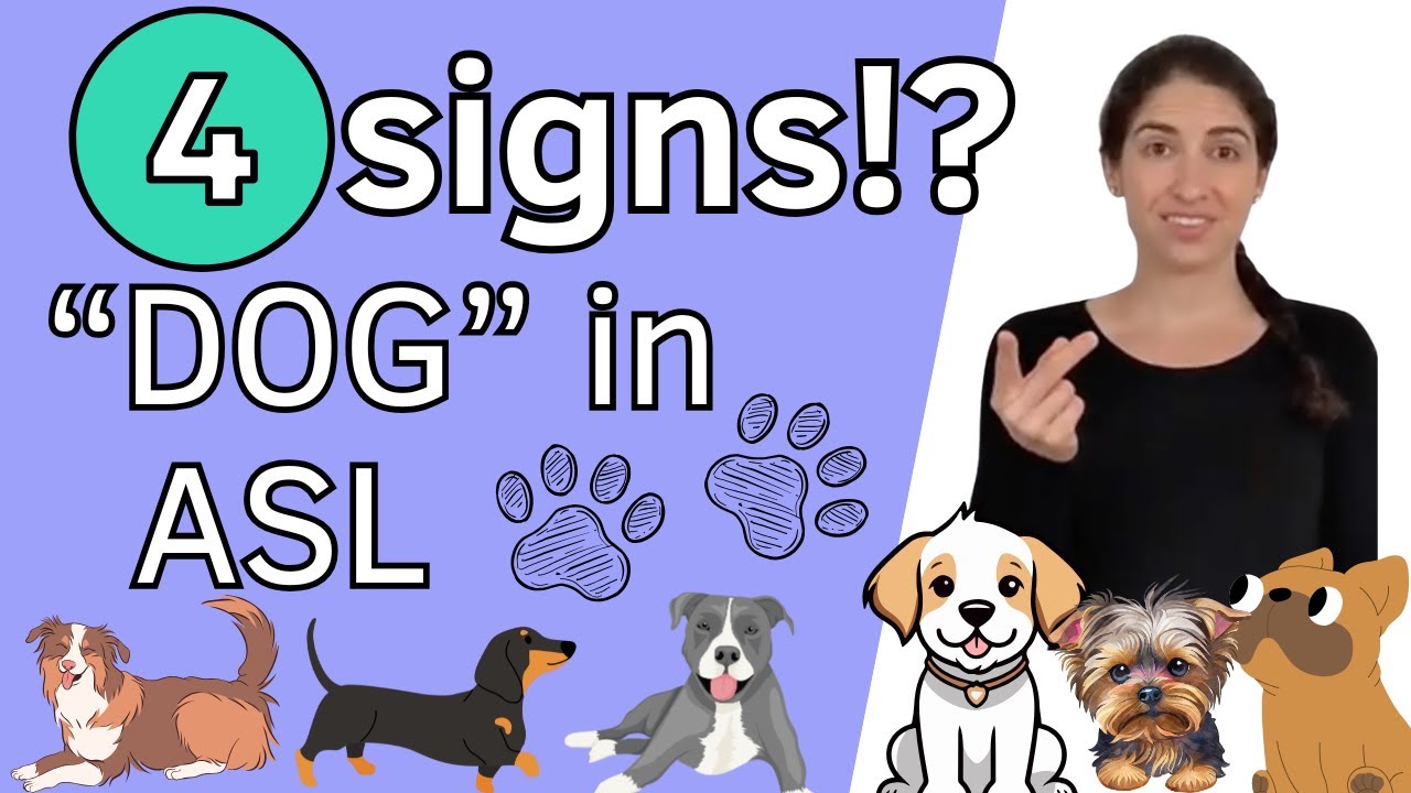 A few different signs for DOG in American Sign Language ASL for beginners