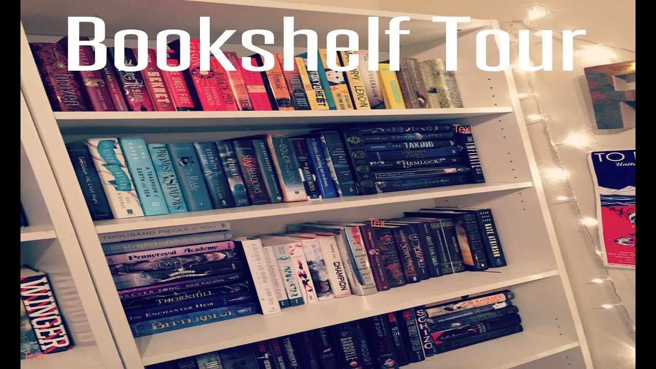 My Rainbow TBR BookShelf Tour!