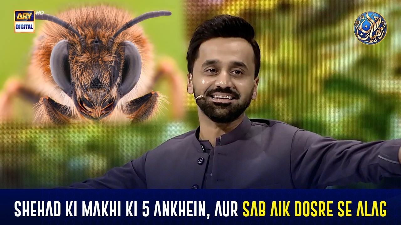 Shehad ki makhi ki 5 ankhein, aur sab aik dosre se alag 😱 | Quran Aur Science | Shan e Ramazan