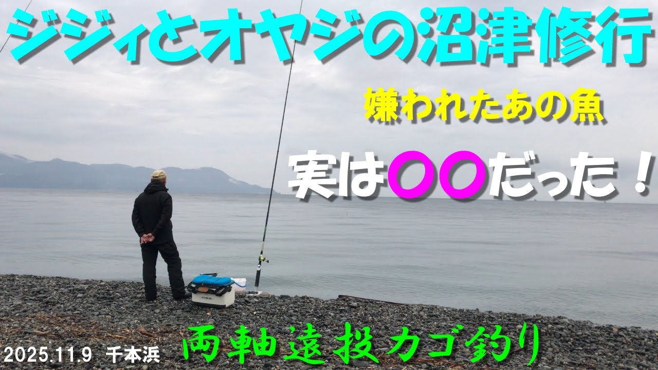 沼津千本浜　ジジィとオヤジが雨の中ひたすらカゴを投げ続ける　勝負ではない　ただ共に戦い通した日　青物は？鯛は？釣れたのか？