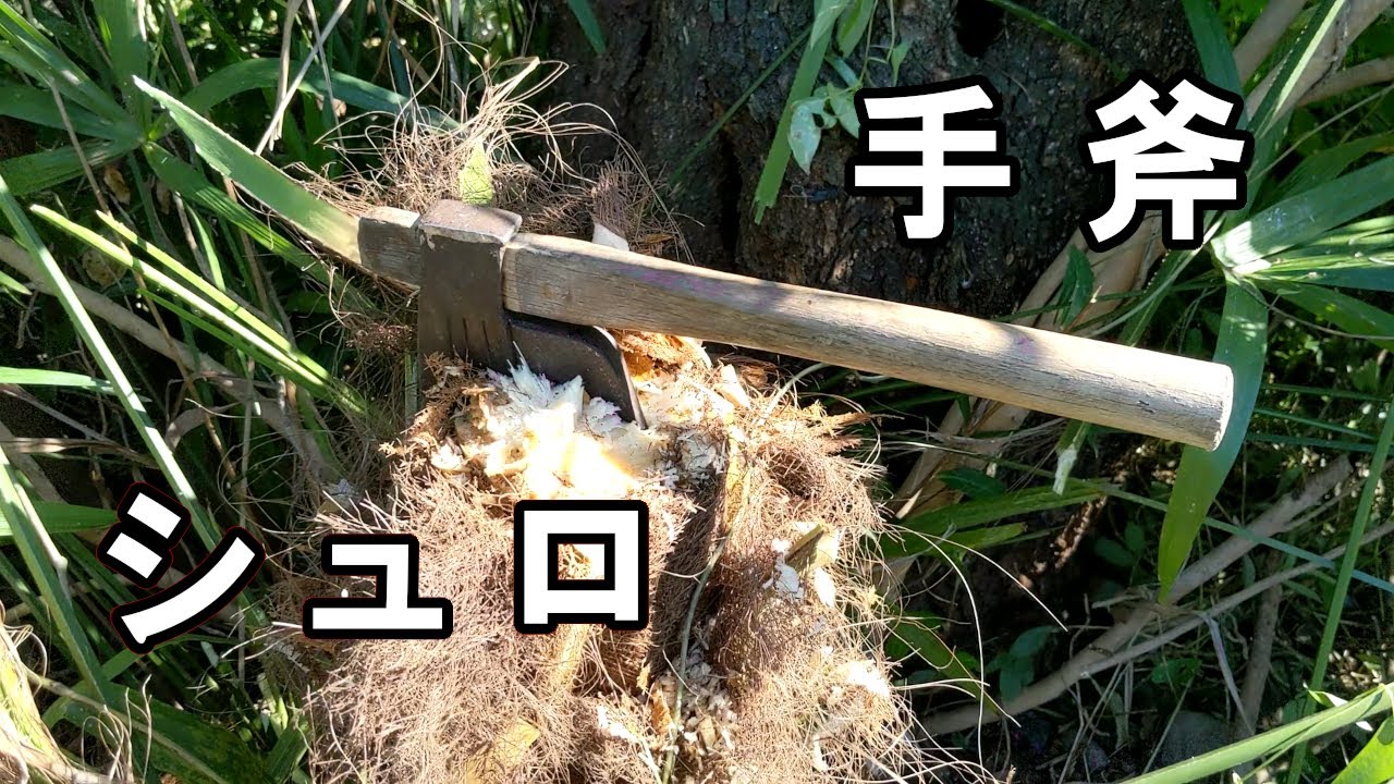 手斧ちゃんでシュロの木の群生を伐採