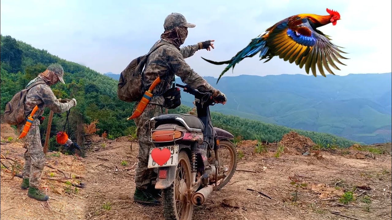 Chuyến Đi Rừng Bẫy Gà Thợ Săn Miền Bắc Hoàng Thắng Một Ngày May Mắn