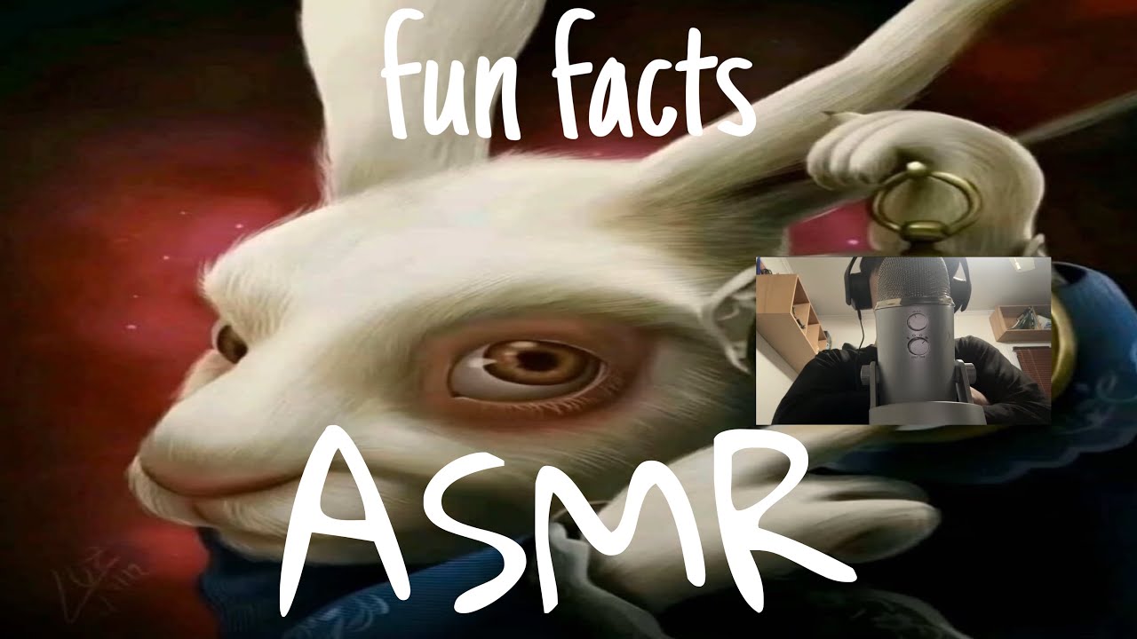 fun facts ASMR | tingly whispers for sleep & relaxation 