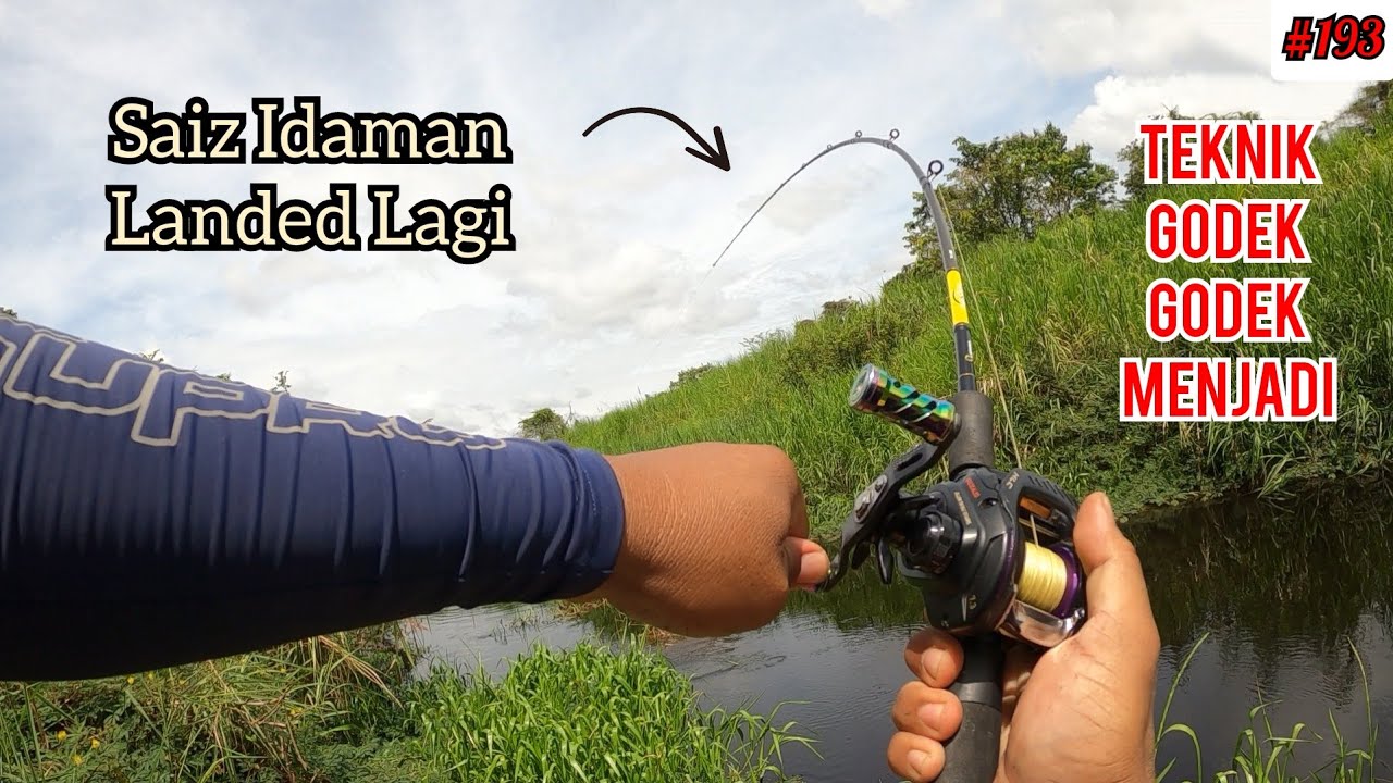 Bujuk Saiz Mendarat lagi || Idaman Pemburu bujuk Mega Seperti Ini..