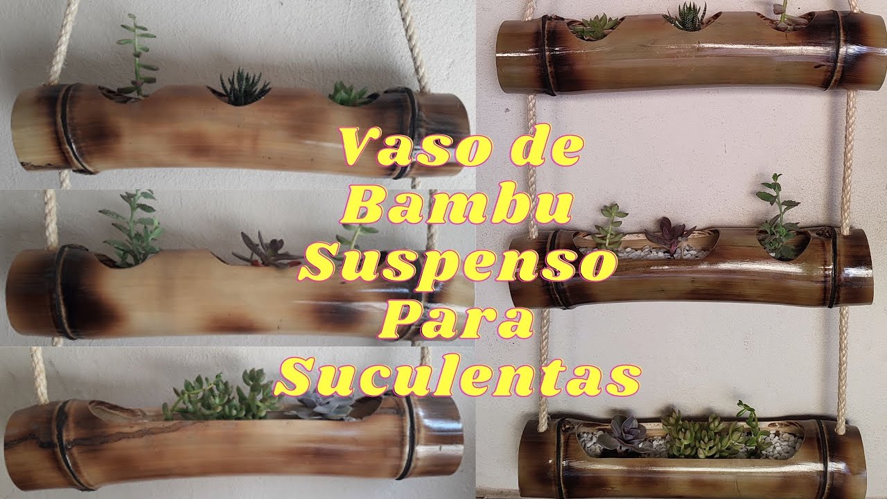 Vaso de Bambu Para Suculentas Suspenso.