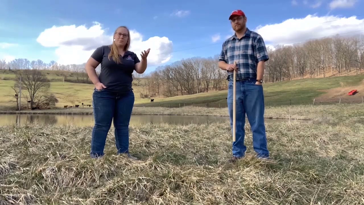 Tips for Spring Grazing