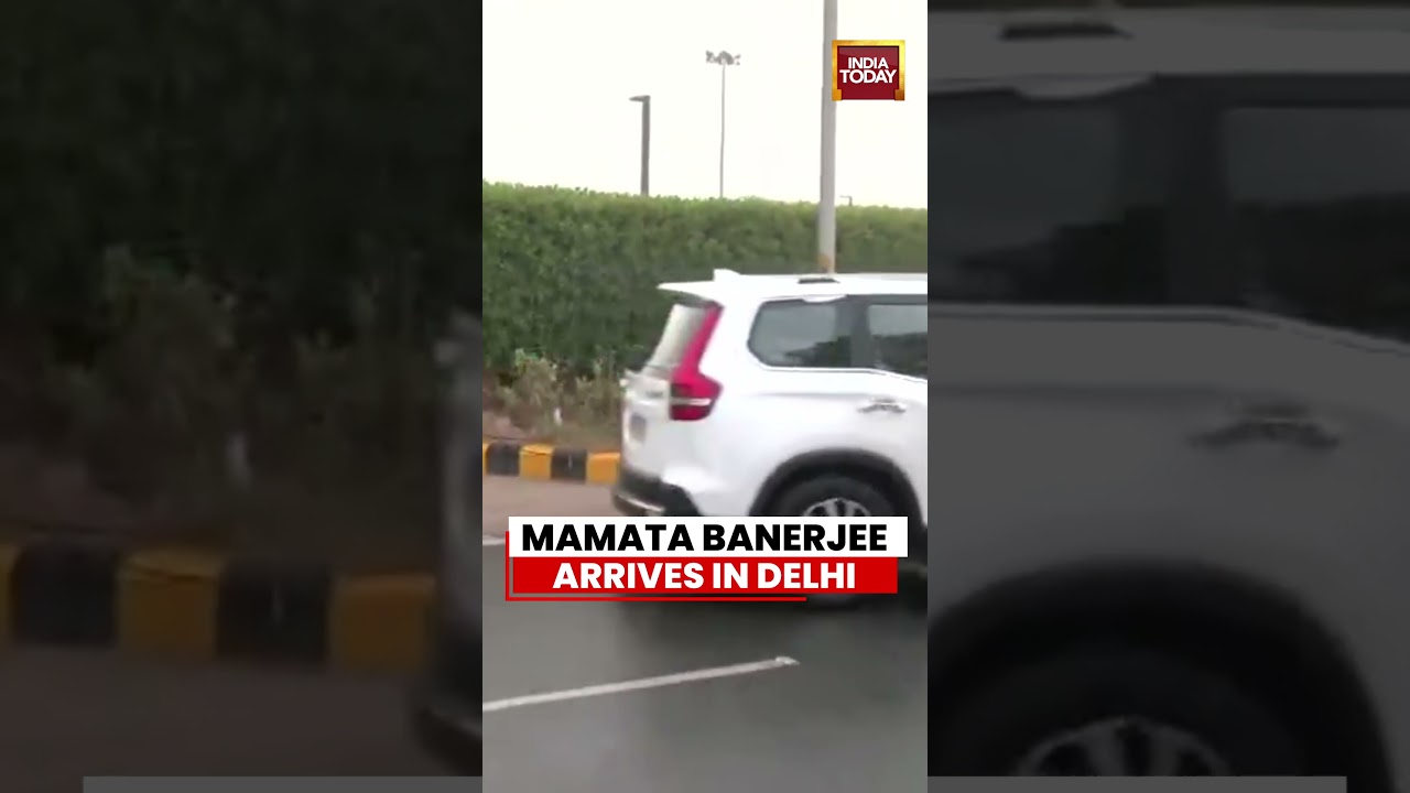 Mamata Banerjee Arrives In Delhi | Set To Attend Key INDIA Bloc Meeting On June 8 #mamatabanerjee
