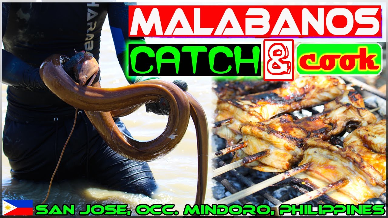 EP51 - Malabanos Eel Catch and Cook | Eel Barbecue | Occ. Mindoro Philippnes