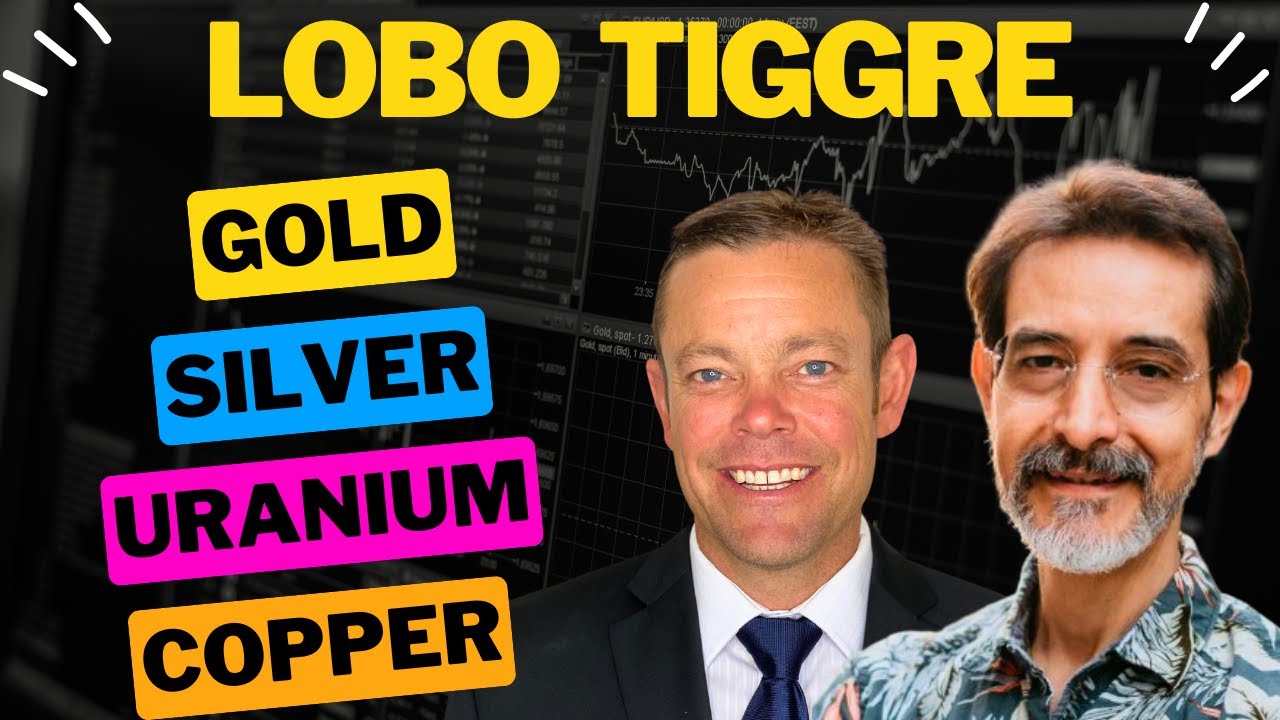 Lobo Tiggre’s Secrets on Recession-Proof Investing!