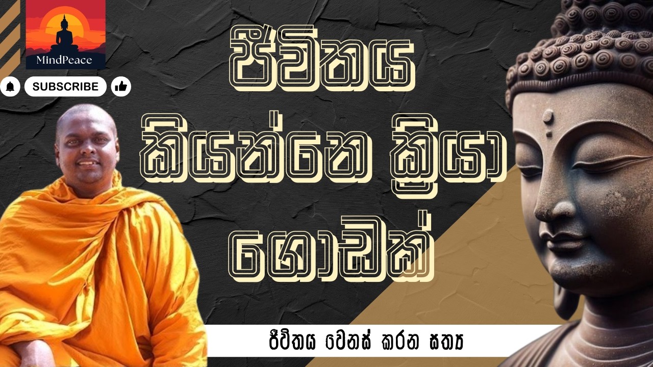 ජීවිතය කියන්නේ ක්‍රියා ගොඩක් ⚡✨ | Jeevithaya kiynne kriya godak | Life Is a Series of Actions